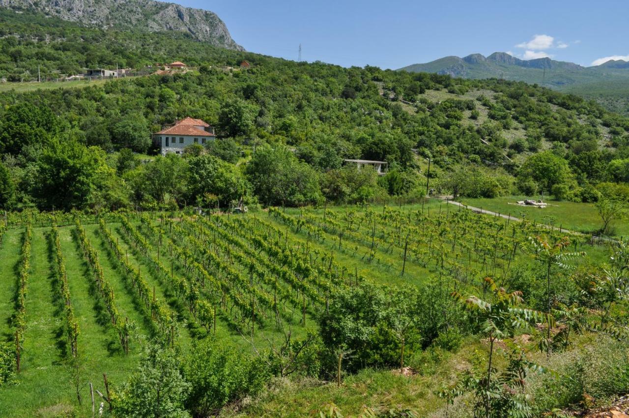Апартаменти Djukic Winery Подгориця Екстер'єр фото